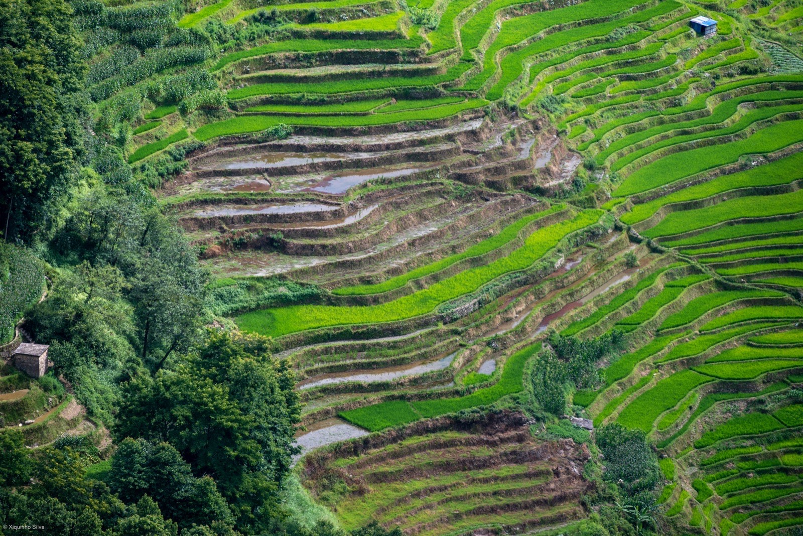 Du lịch Trung Quốc Nguyên Dương: ruộng bậc thang Hani 5 ngày