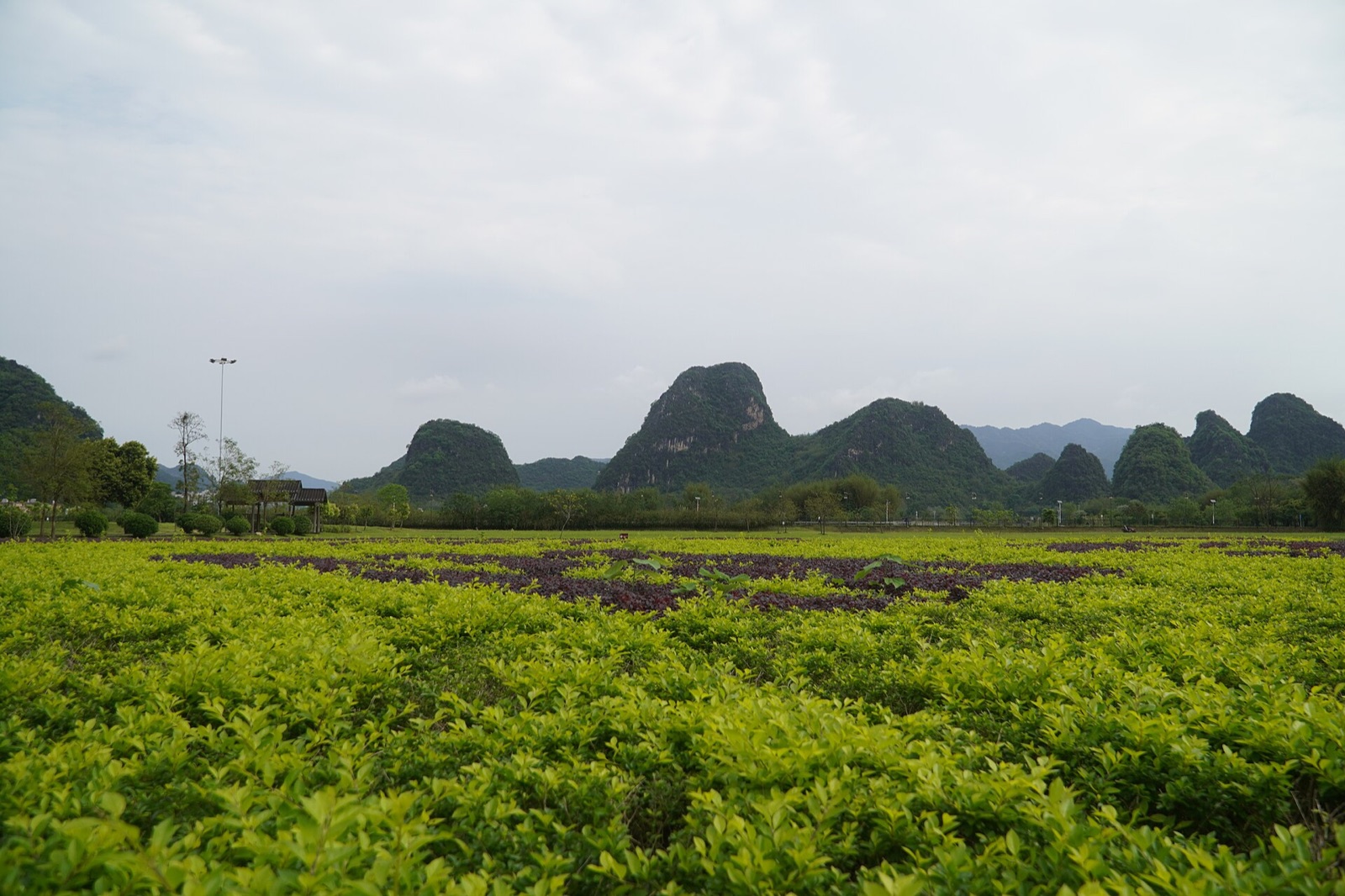 Du lịch Trung Quốc Thanh Viễn – Anh Tây Phong Lâm 4 ngày