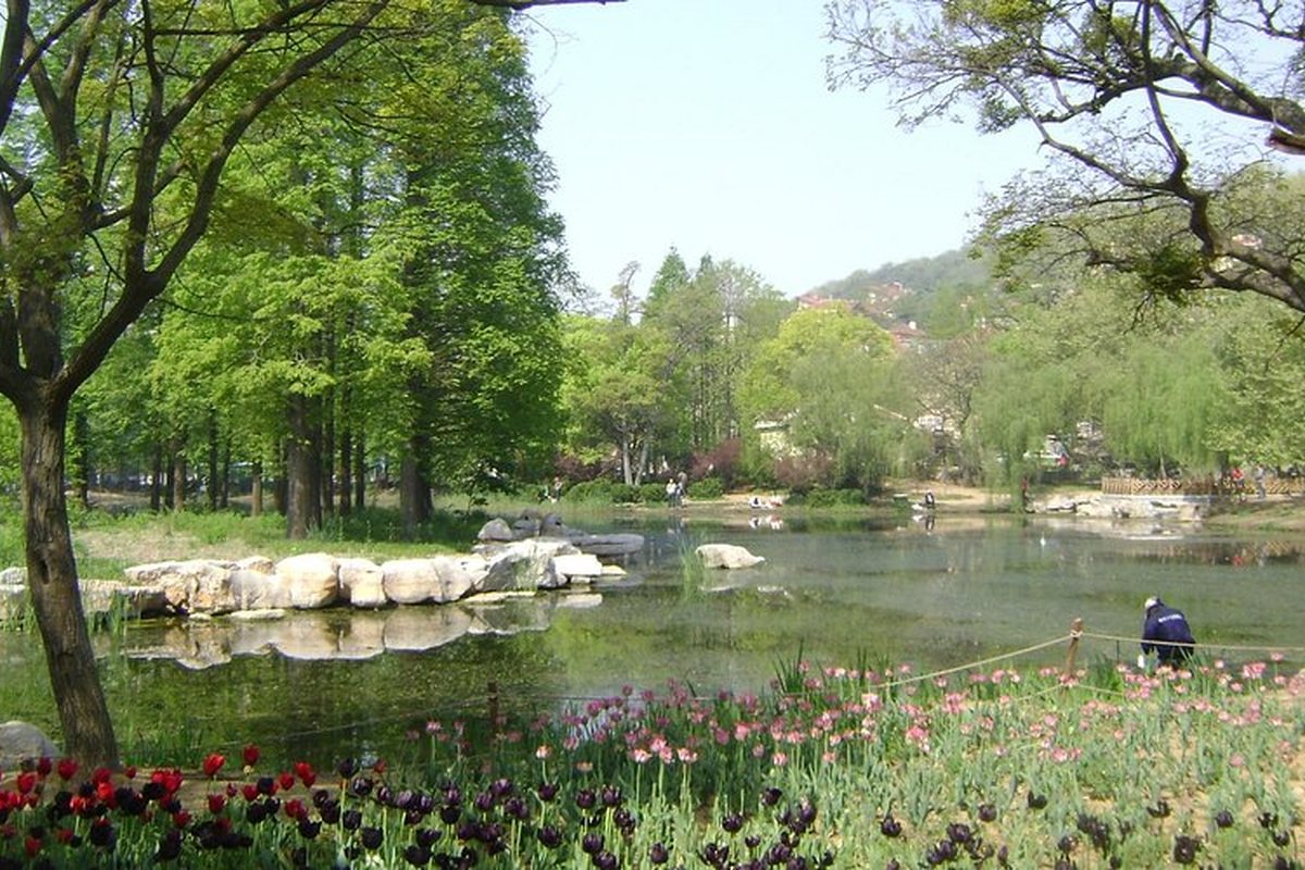 THANH ĐẢO - UY HẢI