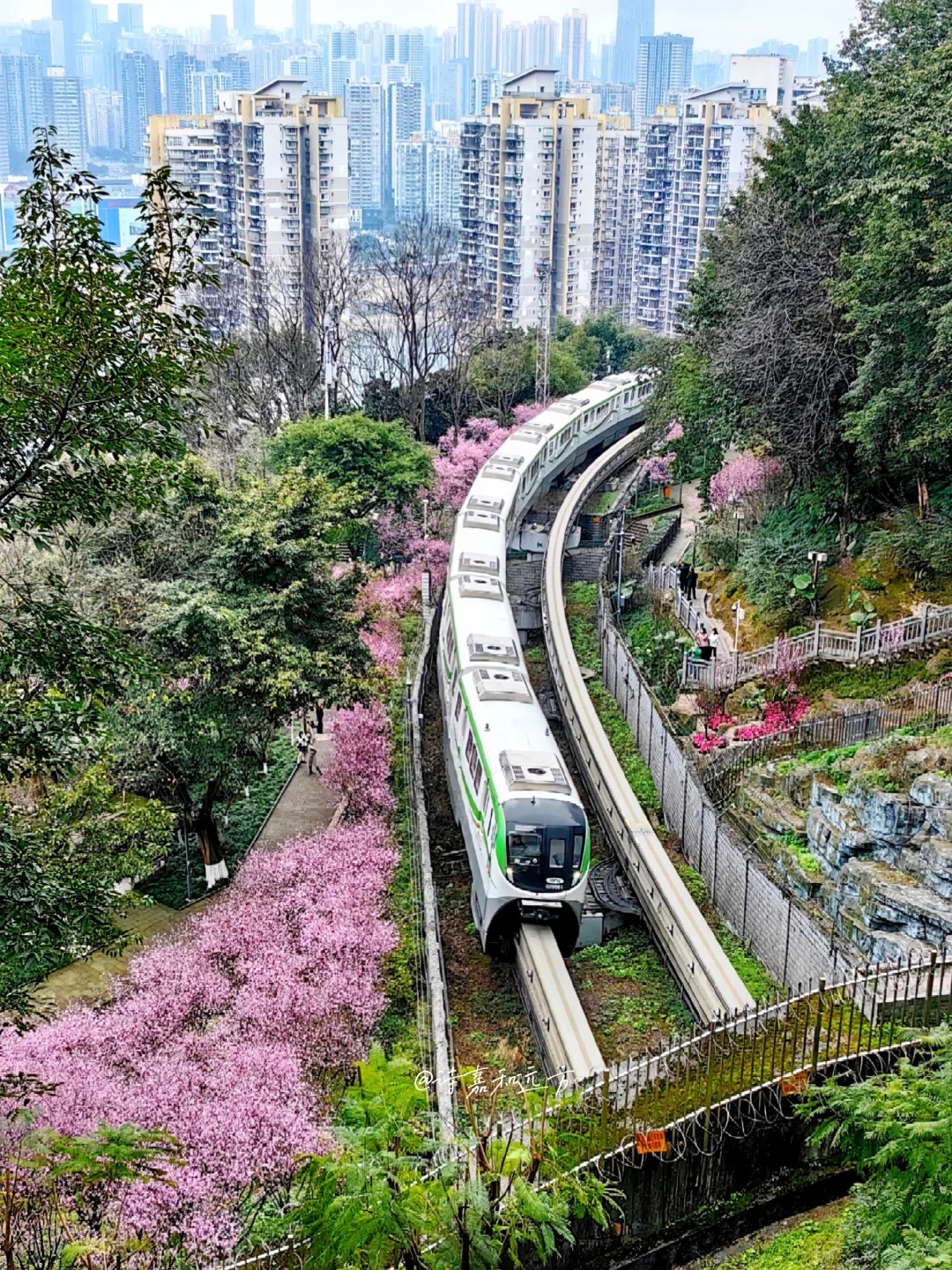 Du lịch Trung Quốc có cần visa không? Cập nhật cho khách Việt Nam.