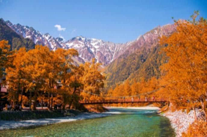 TOUR KAMIKOCHI: SẮC THU GIỮA ĐẠI NGÀN, THEO DẤU MÙA THU TỪ CỔ TRẤN SHIRAKAWAGO ĐẾN ĐẠI NGÀN KAMIKOCHI (về chiều) (6N5Đ · VN)