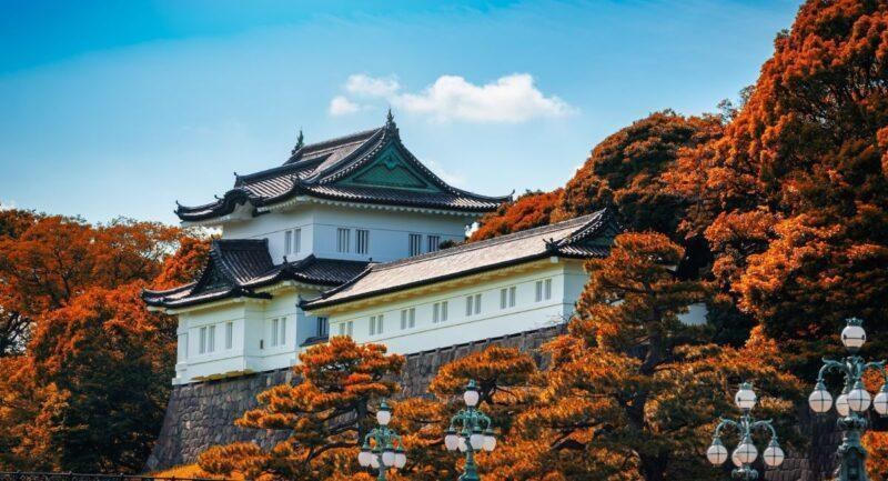 TOKYO - PHÚ SĨ - NAGOYA - KYOTO - OSAKA (về sáng) (6N5Đ · VN)